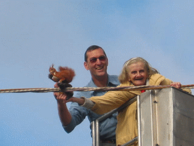 Mission accomplie ! -  Animaux - Mammif�res - 